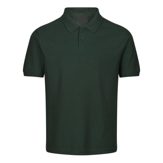 Polo - Image 12